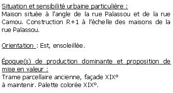 Zone de Texte: Situation et sensibilit urbaine particulire :Maison situe  langle de la rue Palassou et de la rue Camou. Construction R+1  lchelle des maisons de la rue Palassou.Orientation : Est, ensoleille.poque(s) de production dominante et proposition de mise en valeur : Trame parcellaire ancienne, faade XIX maintenir. Palette colore XIX.